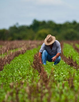 serv_AGRO